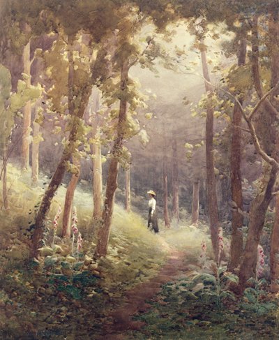 Eine Waldlichtung von John Farquharson